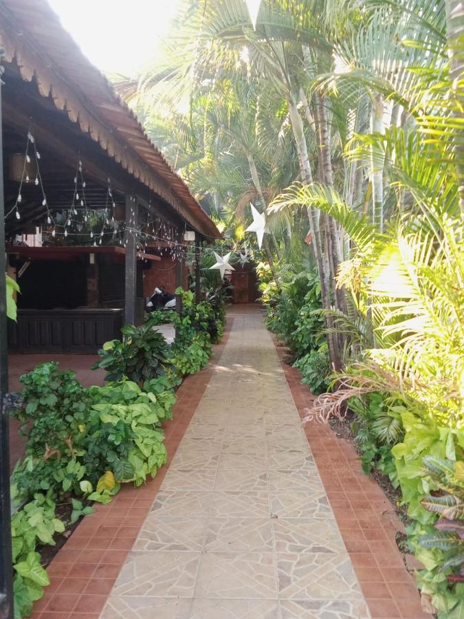 Sea Breeze Inn, Calangute Goa المظهر الخارجي الصورة